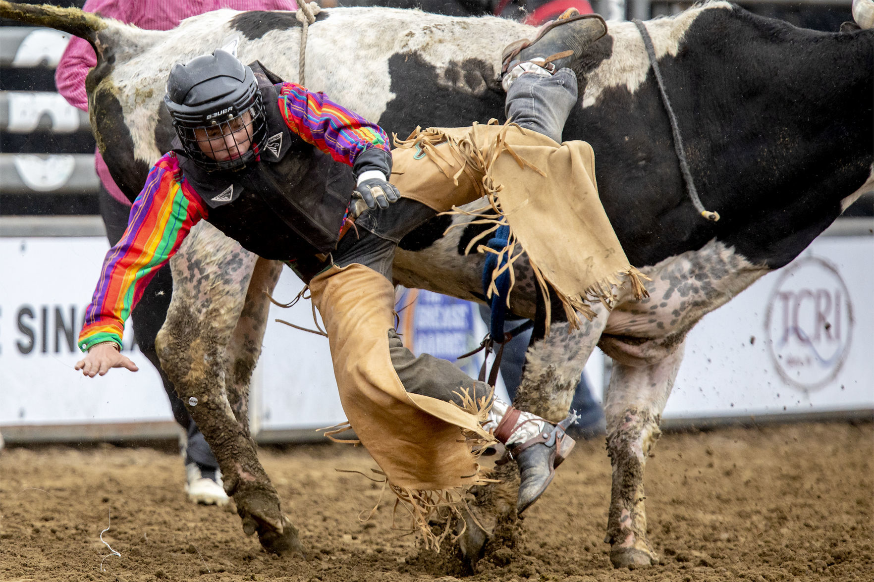 Rodeo galery